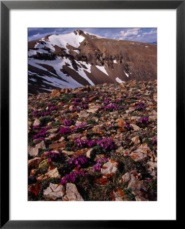 Mt. Lincoln, Colorado, Usa by Karl Lehmann Pricing Limited Edition Print image