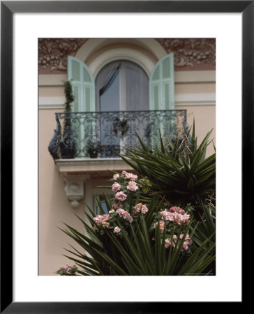 Wrought Iron Balcony And Shuttered Windows Above A Flowering Garden by David Evans Pricing Limited Edition Print image