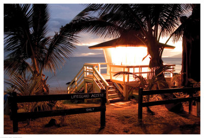 Life Guard In Hawaii by Shane Settle Pricing Limited Edition Print image