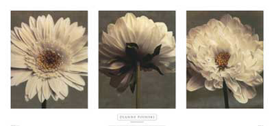 Daisy And Dahlia by Dianne Poinski Pricing Limited Edition Print image