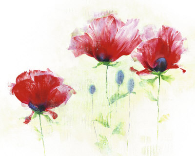Red Poppies Ii by Andrea Fontana Pricing Limited Edition Print image