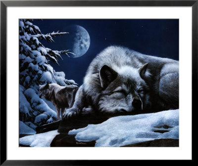 Sleeping Wolf And Lookout by Kevin Daniel Pricing Limited Edition Print image