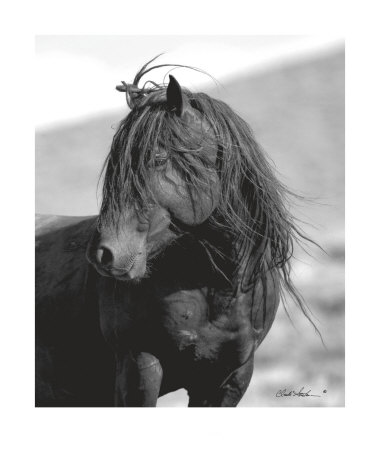Untamed Spirit by Claude Steelman Pricing Limited Edition Print image