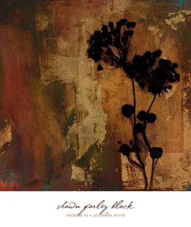 Sienna Ii by Shawn Farley Black Pricing Limited Edition Print image