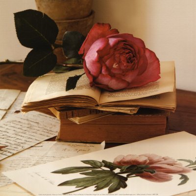 Rose Sur Livres I by Celine Sachs-Jeantet Pricing Limited Edition Print image