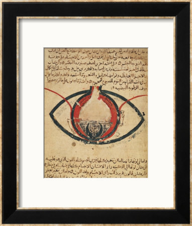 Anatomy Of The Eye, From A Book On Eye Diseases by Al-Mutadibi Pricing Limited Edition Print image