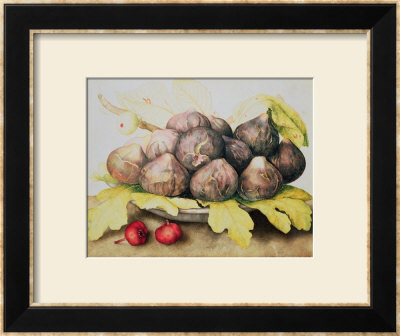 Figs by Giovanna Garzoni Pricing Limited Edition Print image