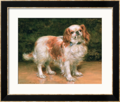 King Charles Spaniel, 1907 by George Sheridan Knowles Pricing Limited Edition Print image