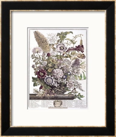 August by H. Fletcher Pricing Limited Edition Print image