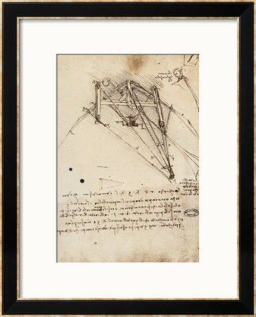 The Rudder Of A Wing, Institut De France, Paris by Leonardo Da Vinci Pricing Limited Edition Print image