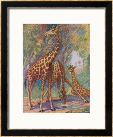 Three Giraffes by Louis A. Sargent Pricing Limited Edition Print image