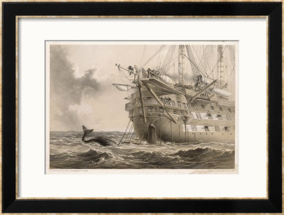 The First Unsuccessful Cable Is Laid By Hms Agamemnon: An Inquisitive Whale Crosses The Line by Robert Dudley Pricing Limited Edition Print image