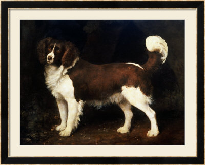A Spaniel In A Landscape, 1784 by George Stubbs Pricing Limited Edition Print image