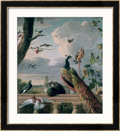 Palace Of Amsterdam With Exotic Birds by Melchior De Hondecoeter Pricing Limited Edition Print image