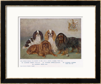 Four Types Of King Charles Clevedon Champions by Frances C. Fairman Pricing Limited Edition Print image