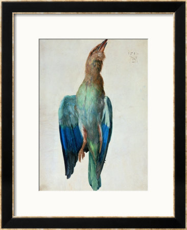 Roller (Bird), 1512 by Albrecht Durer Pricing Limited Edition Print image