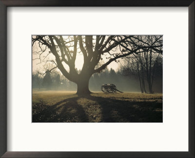 The Battlefield, Shiloh National Military Park, Tennessee by Sam Abell Pricing Limited Edition Print image