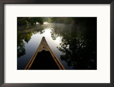 Canoeing Alexander Springs Creek, Ocala National Forest, Florida by Maresa Pryor Pricing Limited Edition Print image