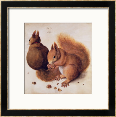 Squirrels, 1512 by Albrecht Dürer Pricing Limited Edition Print image