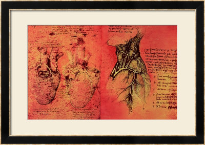 Anatomical Drawing Of Hearts And Blood Vessels From Quaderni Di Anatomia Vol 2, Folio 3V by Leonardo Da Vinci Pricing Limited Edition Print image