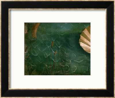 The Birth Of Venus (Venus Anadyomene) by Sandro Botticelli Pricing Limited Edition Print image