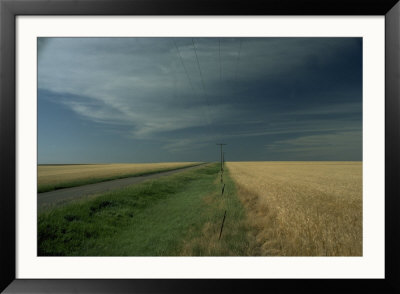 Wheat, Kansas by Everett Johnson Pricing Limited Edition Print image