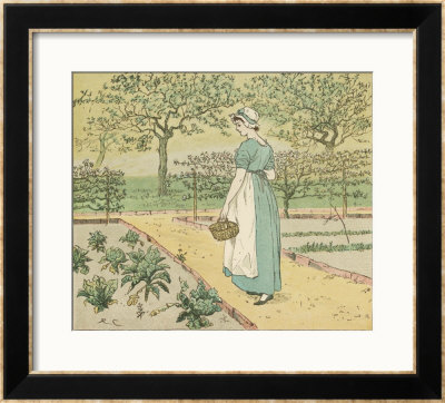 Girl Working In A Rural Kitchen Garden Collecting Cabbages by Randolph Caldecott Pricing Limited Edition Print image