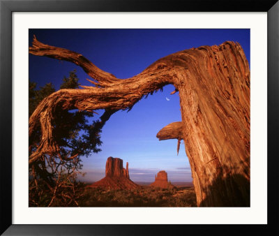 Fallen Tree In Monument Valley, Arizona by Henryk T. Kaiser Pricing Limited Edition Print image