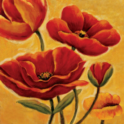 Poppies Close-Up by Beverly Palmer Pricing Limited Edition Print image
