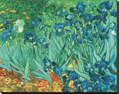 Iris's by Vincent Van Gogh Pricing Limited Edition Print image