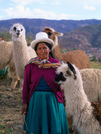 Inca Woman With Llamas, Peru by Bill Bachmann Pricing Limited Edition Print image