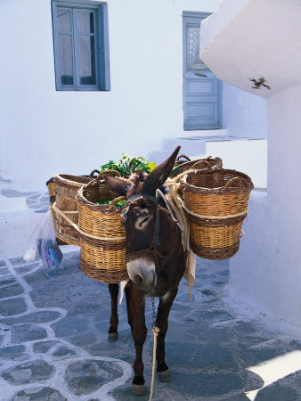 Donkey And Food In Baskets For Sale, Mykonos, Gree by Phyllis Picardi Pricing Limited Edition Print image