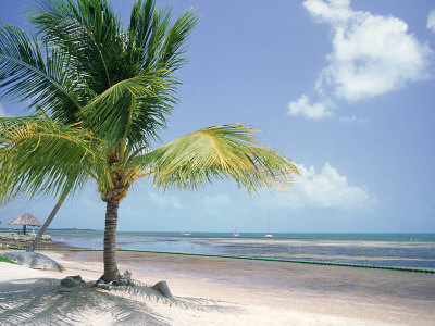 Tropical Beach, Florida Keys, Fl by Masa Kono Pricing Limited Edition Print image