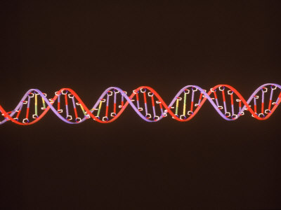 Dna - Double Helix by Jacob Halaska Pricing Limited Edition Print image
