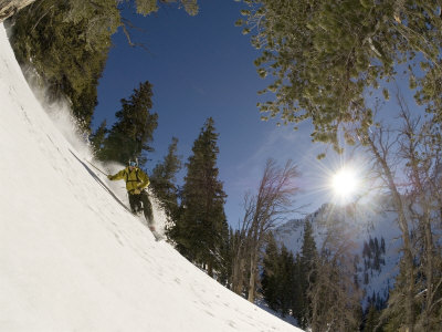 Man Telemark Skiing In Honeycomb Canyon, Wasatch Mountains, Usa by Mike Tittel Pricing Limited Edition Print image