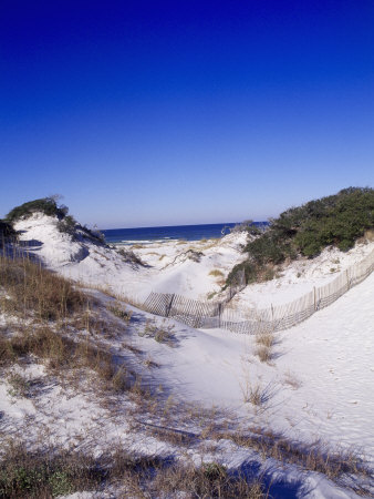 Sand Dunes, Pandhandle Of Florida by Bill Bachmann Pricing Limited Edition Print image