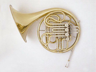 French Horn by Martin Fox Pricing Limited Edition Print image
