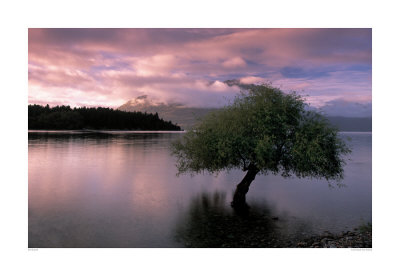South Island, New Zealand by Pete Seaward Pricing Limited Edition Print image