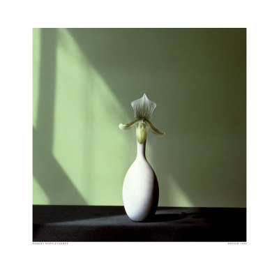 Orchid, C.1982 by Robert Mapplethorpe Pricing Limited Edition Print image