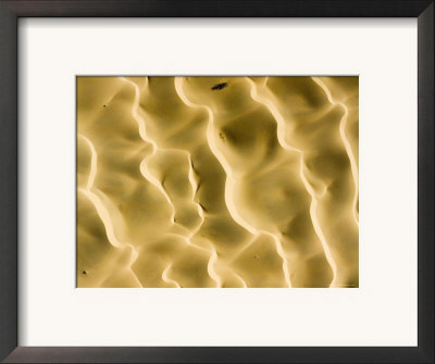 These Radiant Dunes Are Located Outside Of N'guigmi, Niger by Michael Fay Pricing Limited Edition Print image