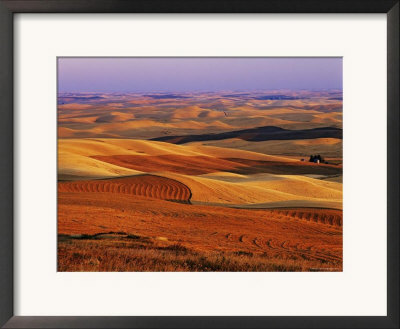 View Of Colorful Palouse Farm Country At Twilight, Washington, Usa by Dennis Flaherty Pricing Limited Edition Print image