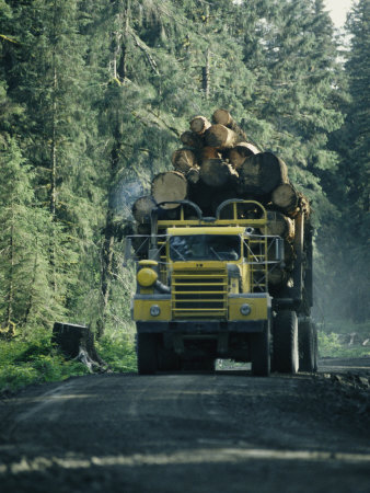 Truck Filled With Cut Lumber Travels Down A Dirt Road by Stephen Sharnoff Pricing Limited Edition Print image