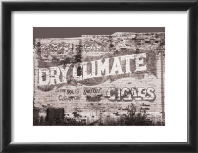 Dry Climate by Roth Pricing Limited Edition Print image