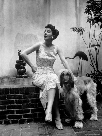 Stripper Gypsy Rose Lee Petting Her Afghan Dog As She Relaxes At Home by Alfred Eisenstaedt Pricing Limited Edition Print image