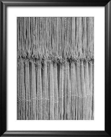 1,500 Strings Of Pearls Hanging In Factory Before Shipping by Alfred Eisenstaedt Pricing Limited Edition Print image