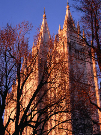 Tree Branches In Front Of Salt Lake City Mormon Temple, Salt Lake City, Utah, Usa by Stephen Saks Pricing Limited Edition Print image