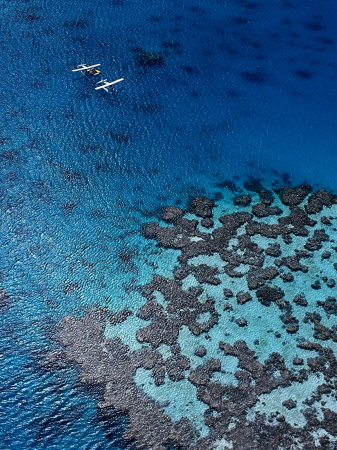 Aerial View Of Seaplanes Landed Near Reef, Great Barrier Reef, Australia by John Banagan Pricing Limited Edition Print image