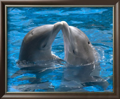 Dolphin Kiss by Himani Pricing Limited Edition Print image