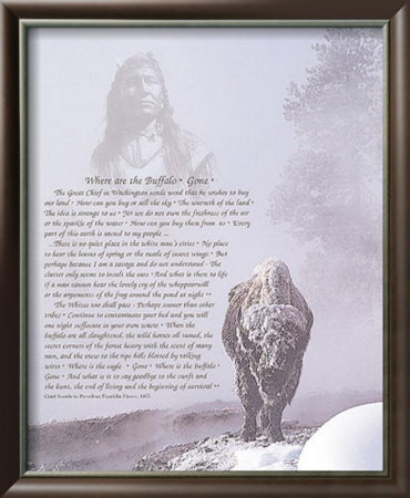 Buffalo Spirit by Barbara Von Hoffman Pricing Limited Edition Print image