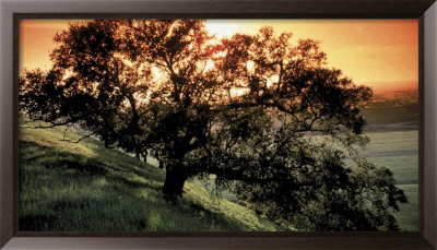Conviction by Larry Mcmanus Pricing Limited Edition Print image